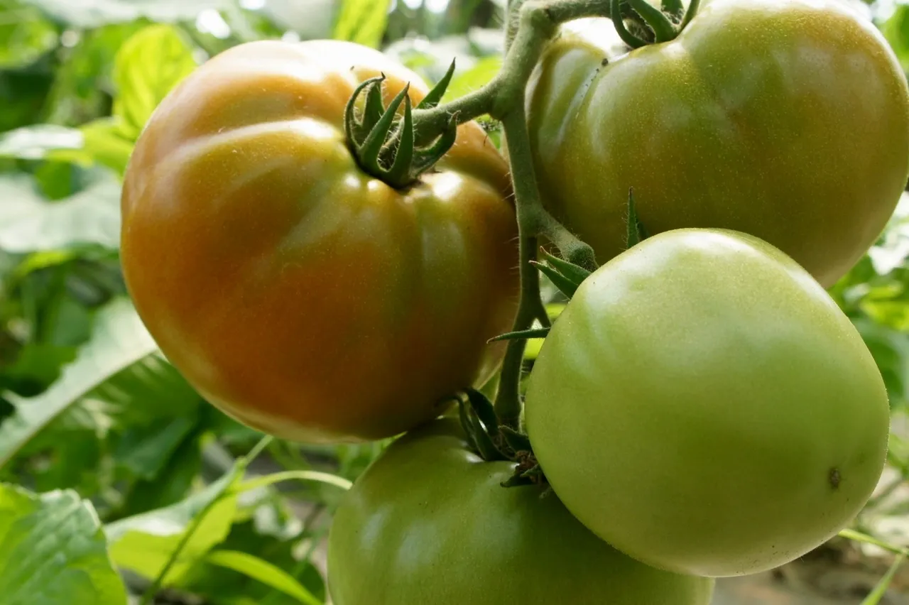 Healthy soil with earthworms