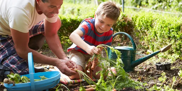 Key features of Organic Growth Burst soil amendment