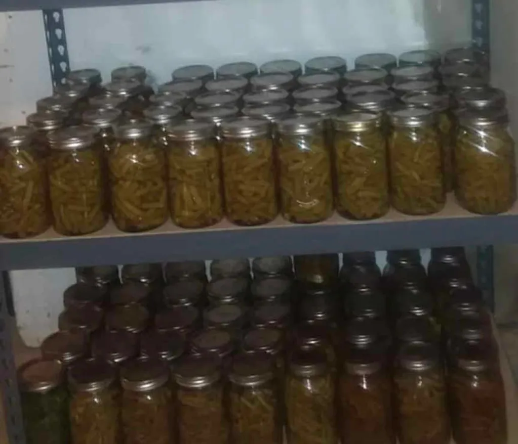 Abundant vegetable yields in Carrie's garden with Organic Growth Burst